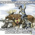 moose cavalry