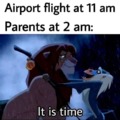 Airport flight