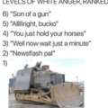 Levels of white anger