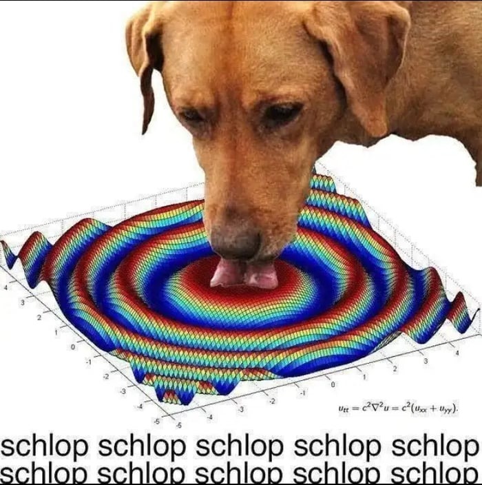 Dog - meme