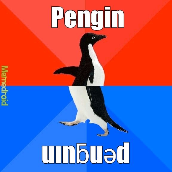 ı pouʇ ǝʌǝu ʞuoʍ ɐʇ ʇɥıs doıuʇ - meme