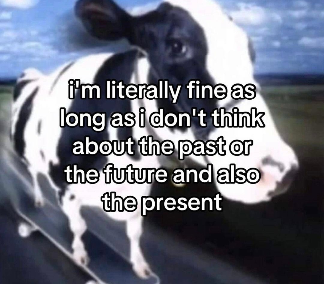 I'm literally fine as long as I ignore everything - meme