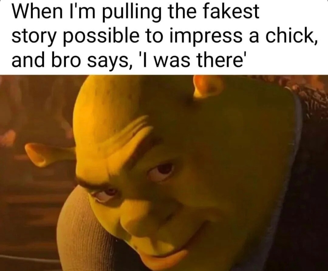 Me cooking up the wildest story and bro starts fact checking - meme