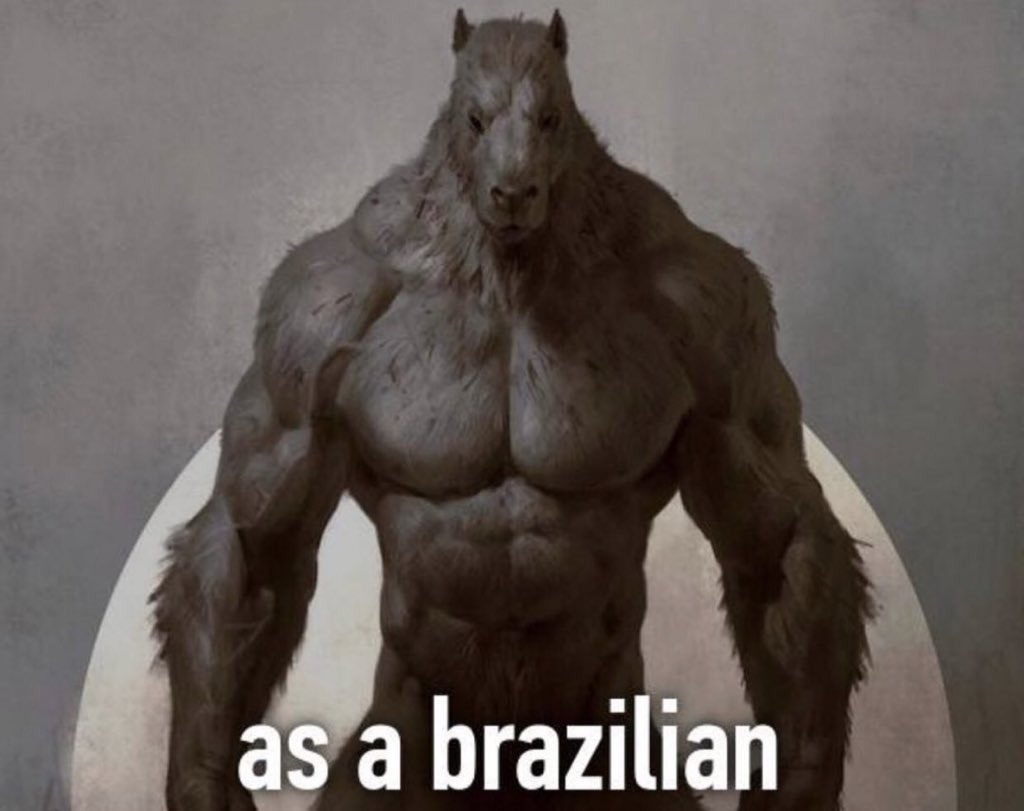 Como brasileiro - meme