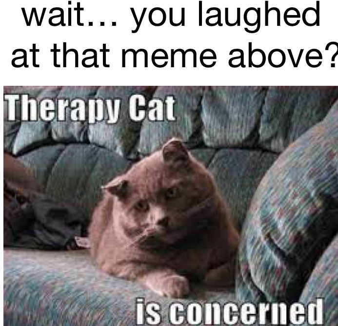 Therapy cat - meme