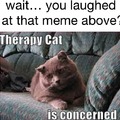 Therapy cat