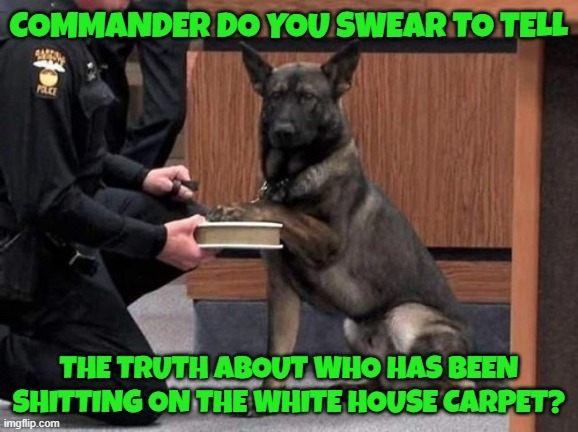 Commander about the chief - meme
