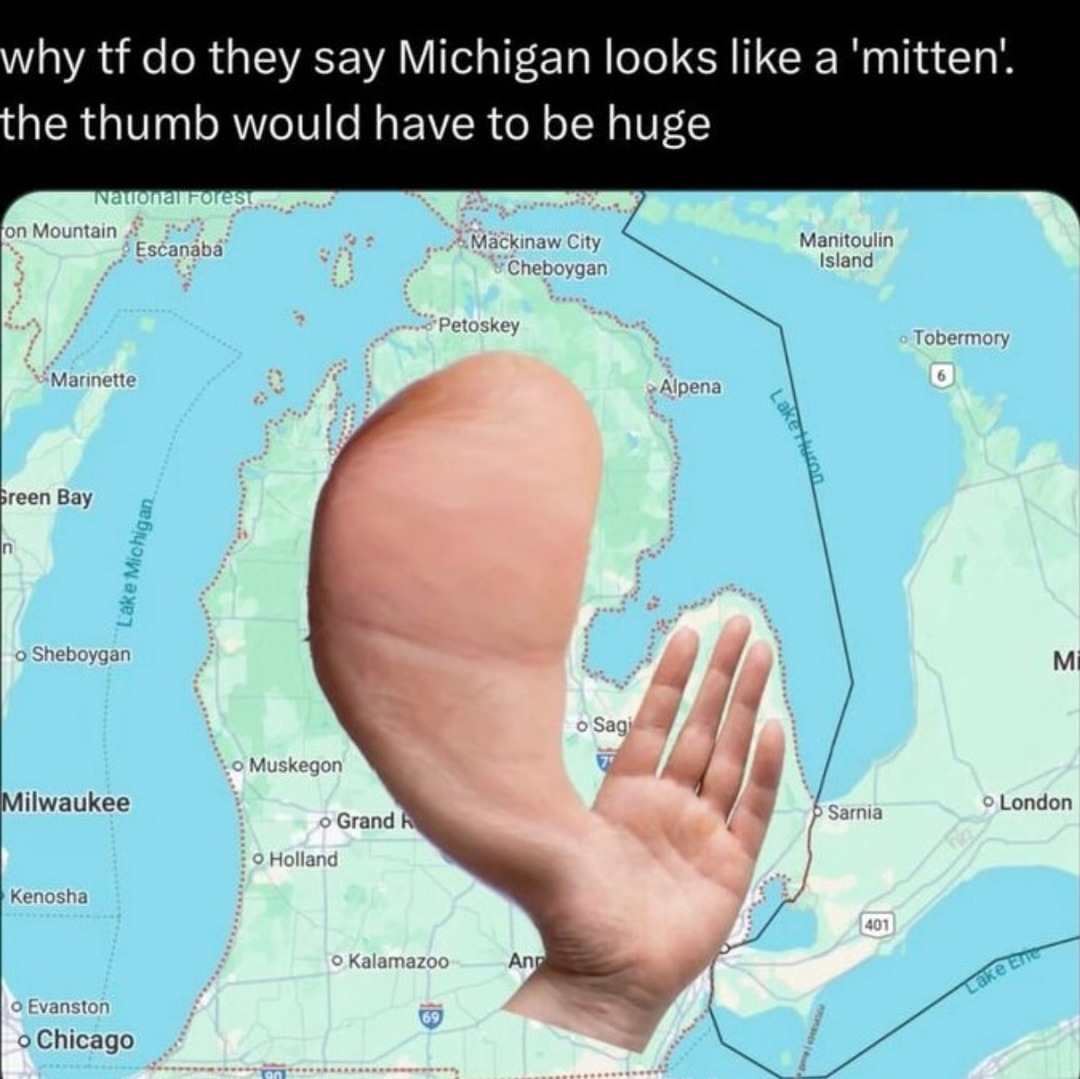Michigan meme