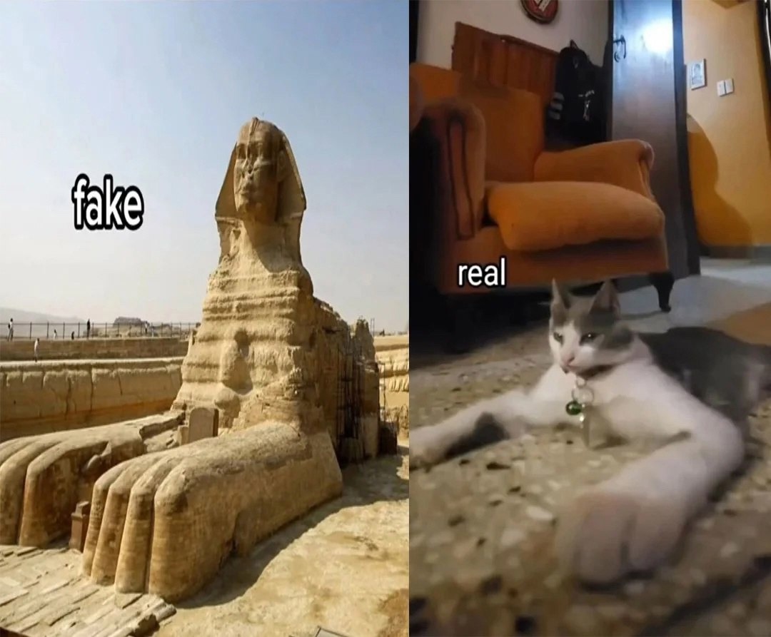 Egyptian cat - meme