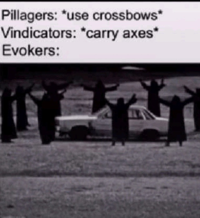 carry what - meme