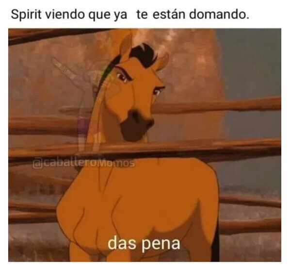 Spirit domador - meme