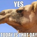 Yes, hump day