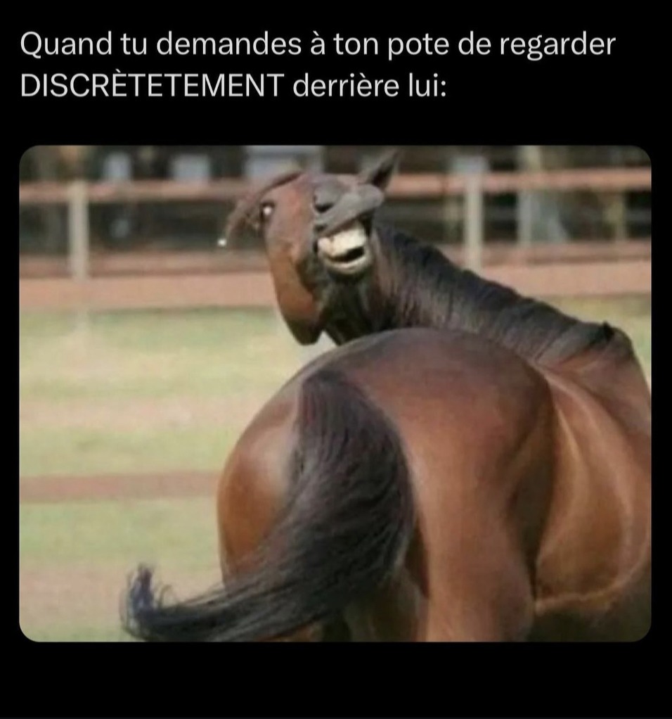 Là c'est mon comportement - meme