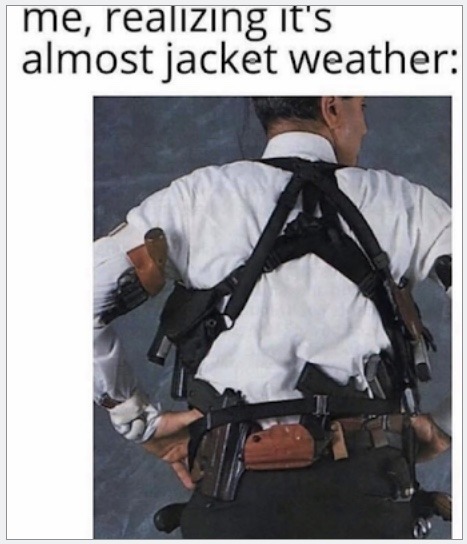 Ah yes, winter wear... - meme