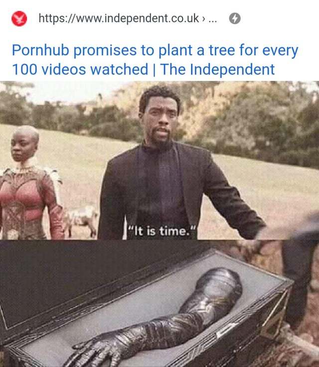 Pornhub promises to plant a tree for every 100 videos watched - meme