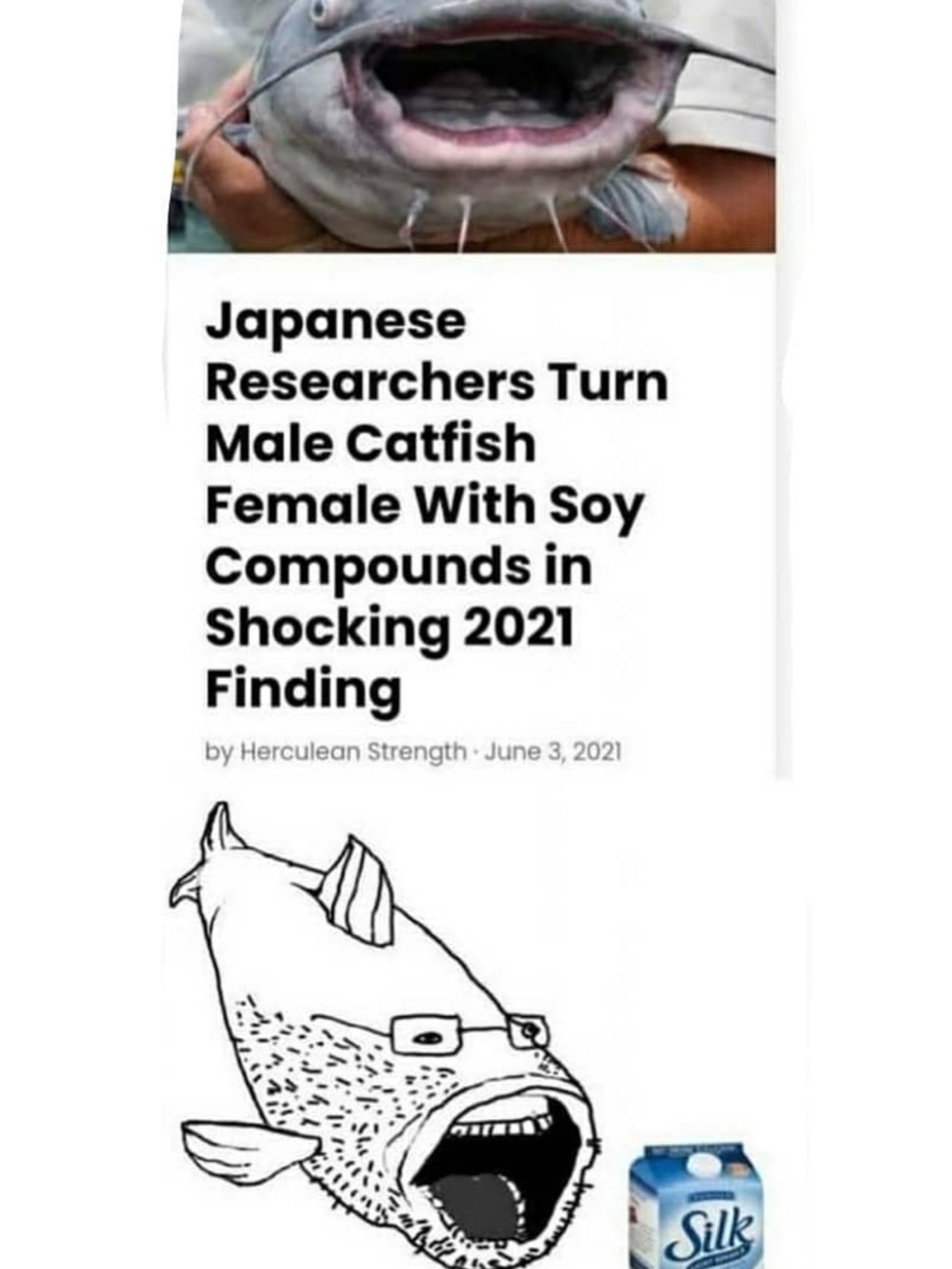 Drink soymilk and you'll turn into a soyboy or eventually even female - meme