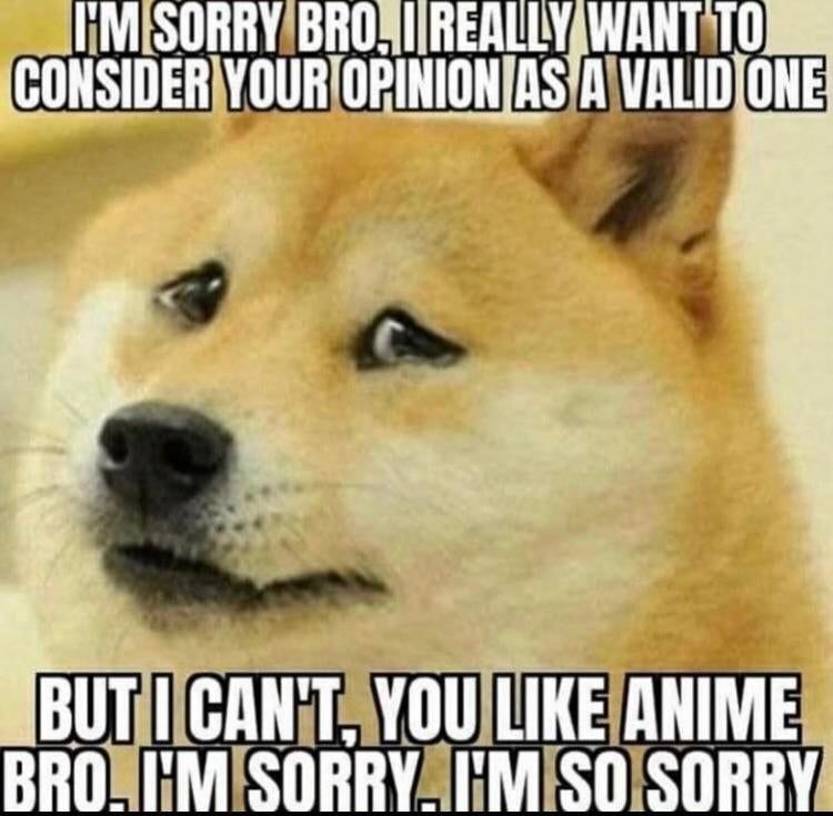 Anime bad - meme