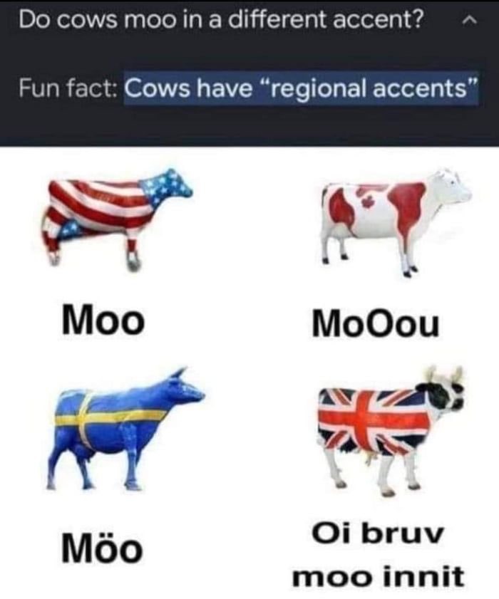 Oi! You houve a license foa dad? - meme