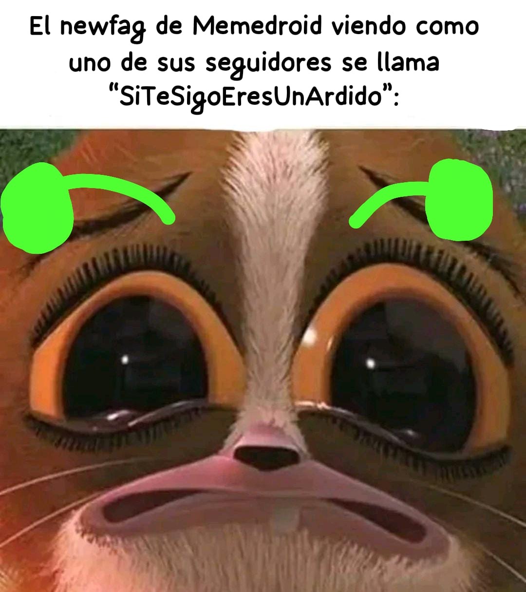 Momento bardero - meme