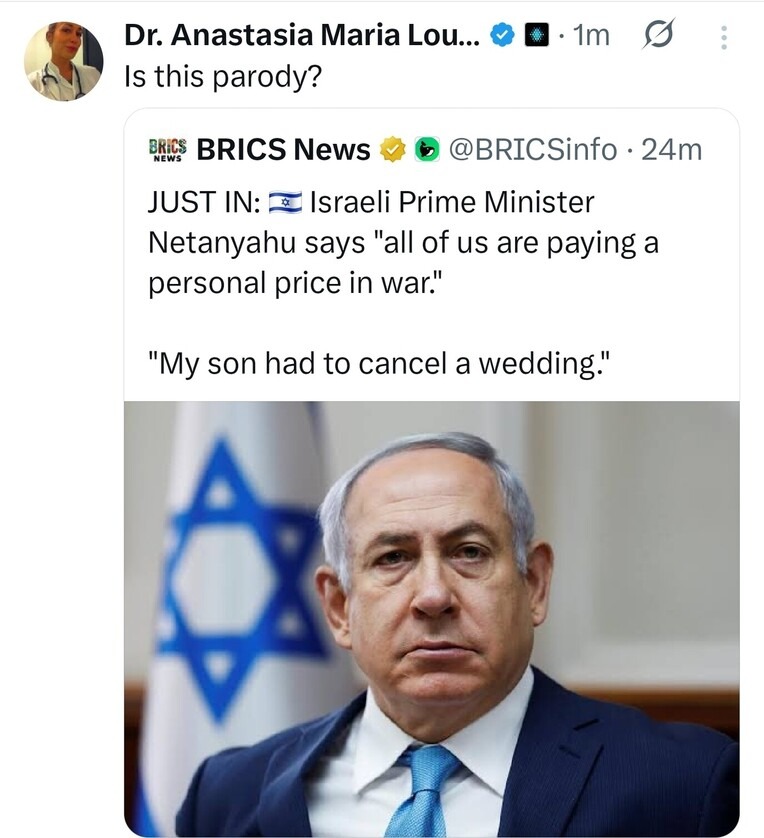 Not the Babylon Bee - meme