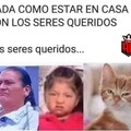 Xd el gato jjajaja