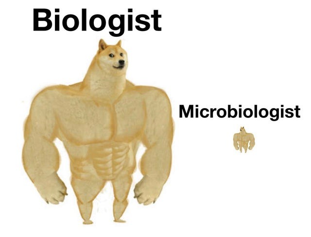 Microbiologist - meme