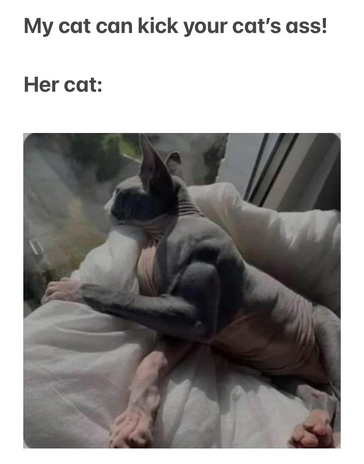 strong cat