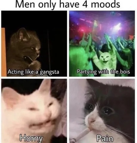 Men have 4 moods - meme