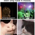 Men have 4 moods