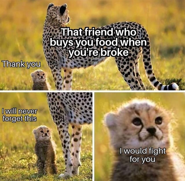 Wholesome friends - meme