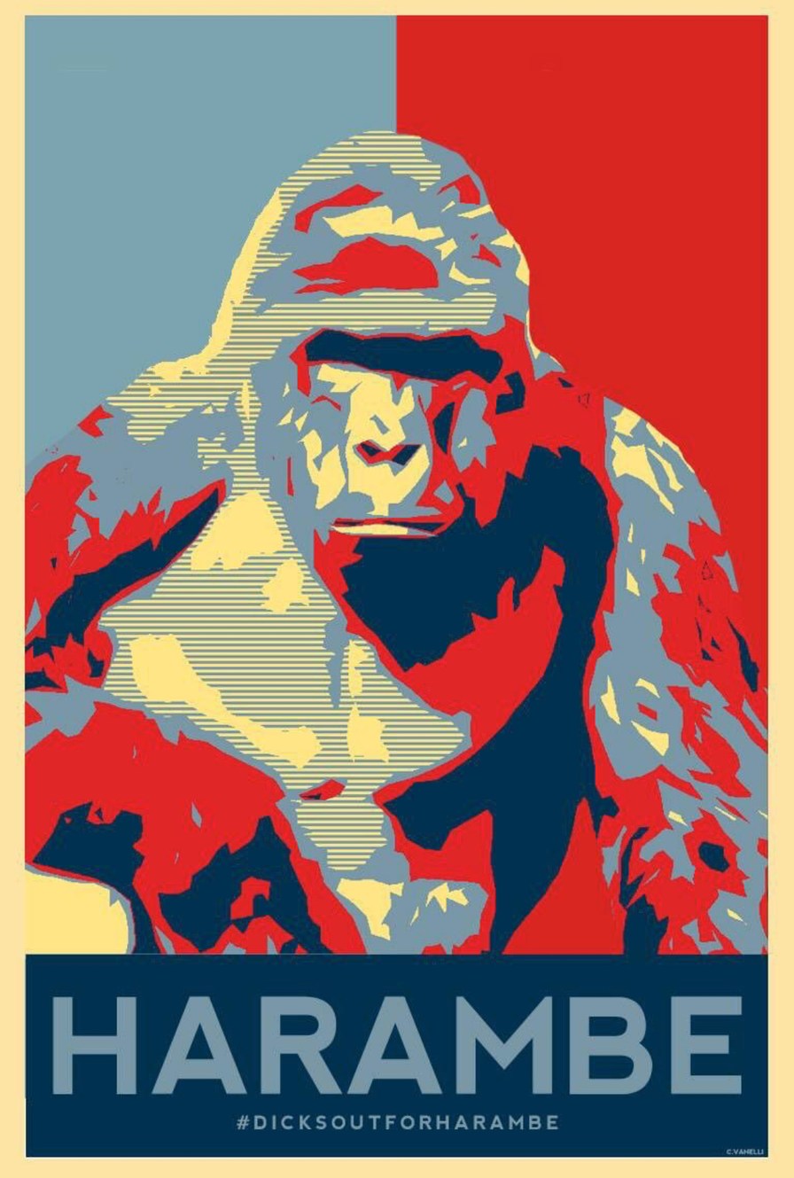 Vote Harambe! If I become president the Trans and Gays will be banished from this country!!!! VOTE HARAMBE - meme