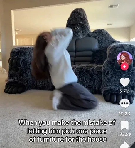 Epic couch - meme