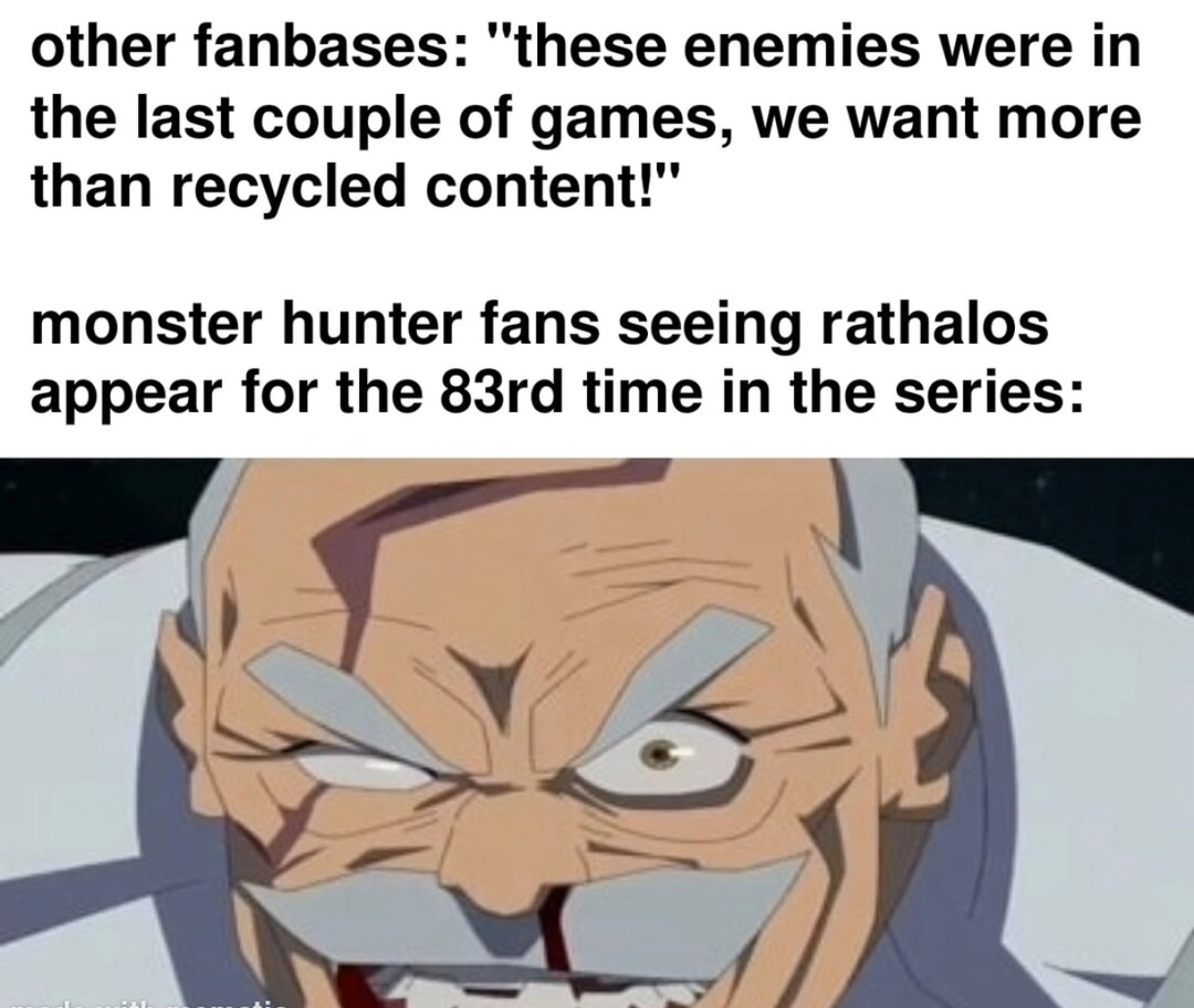 Monster Hunter fans seeing Rathalos for the 83rd time: WOOOOO - meme