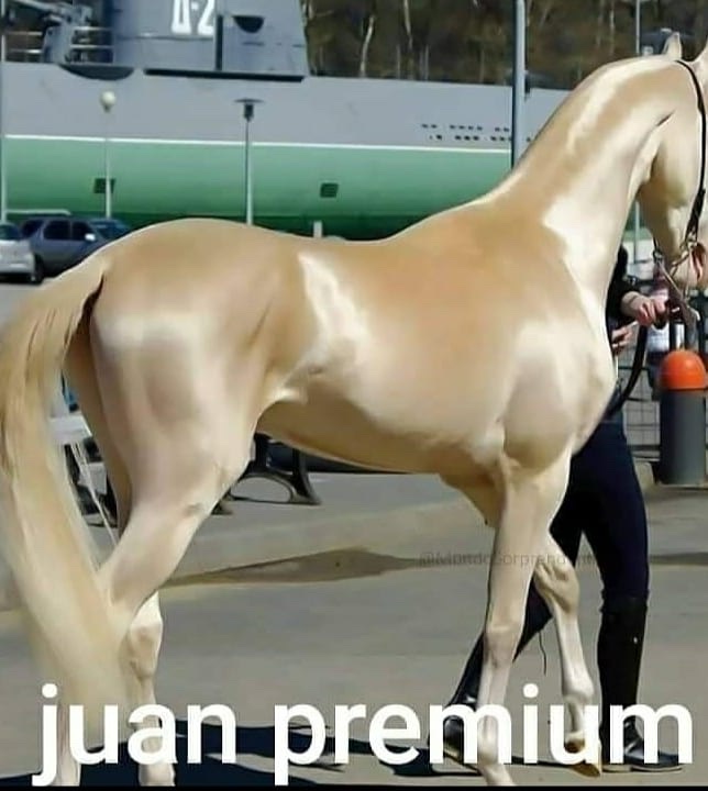 Juan? - meme