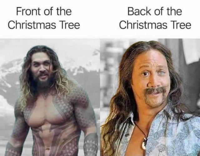 Front vs back of the Christmas tree - meme
