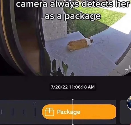 Package detected - meme