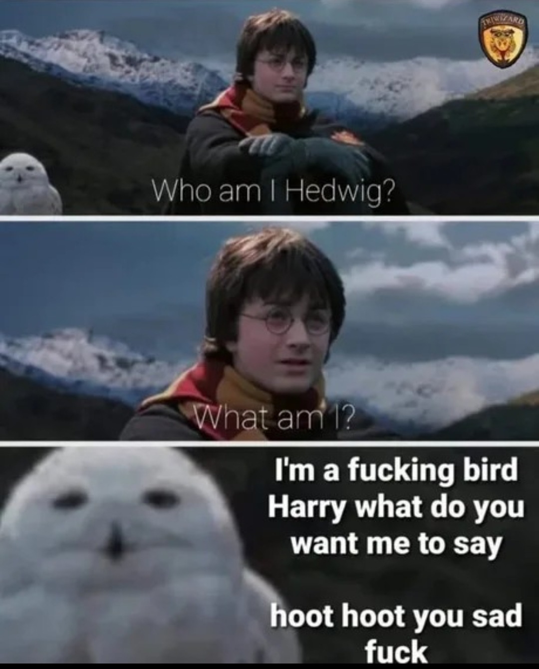 The best Potter memes :) Memedroid