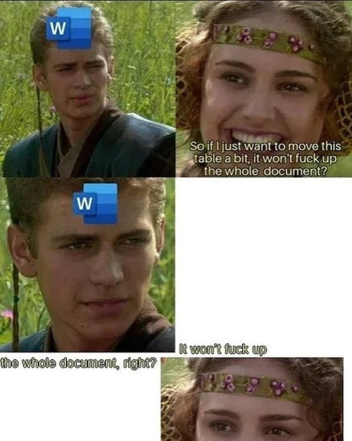 Microsoft Word D: - meme