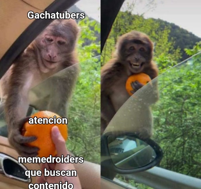 Gachatubers - meme