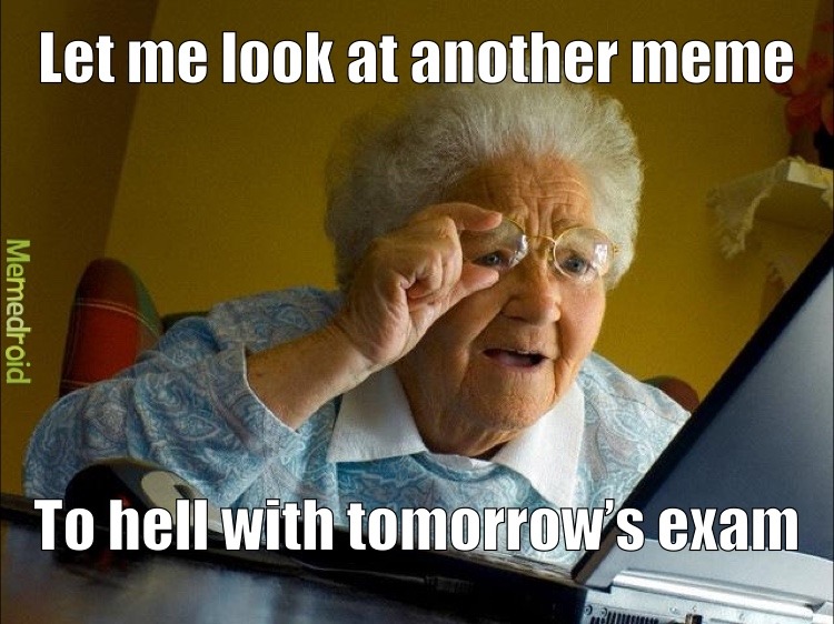 Grandma Finds The Internet - meme