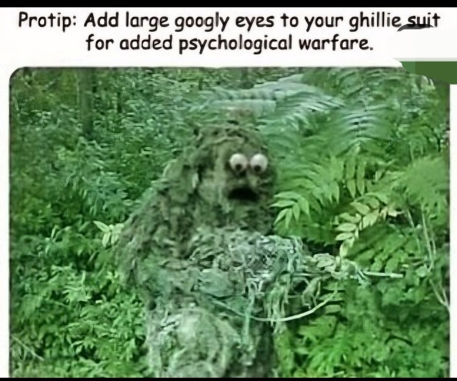 +10 to intimidation - meme