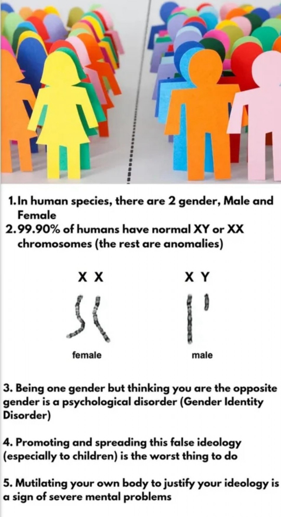 dongs in your vagina - meme