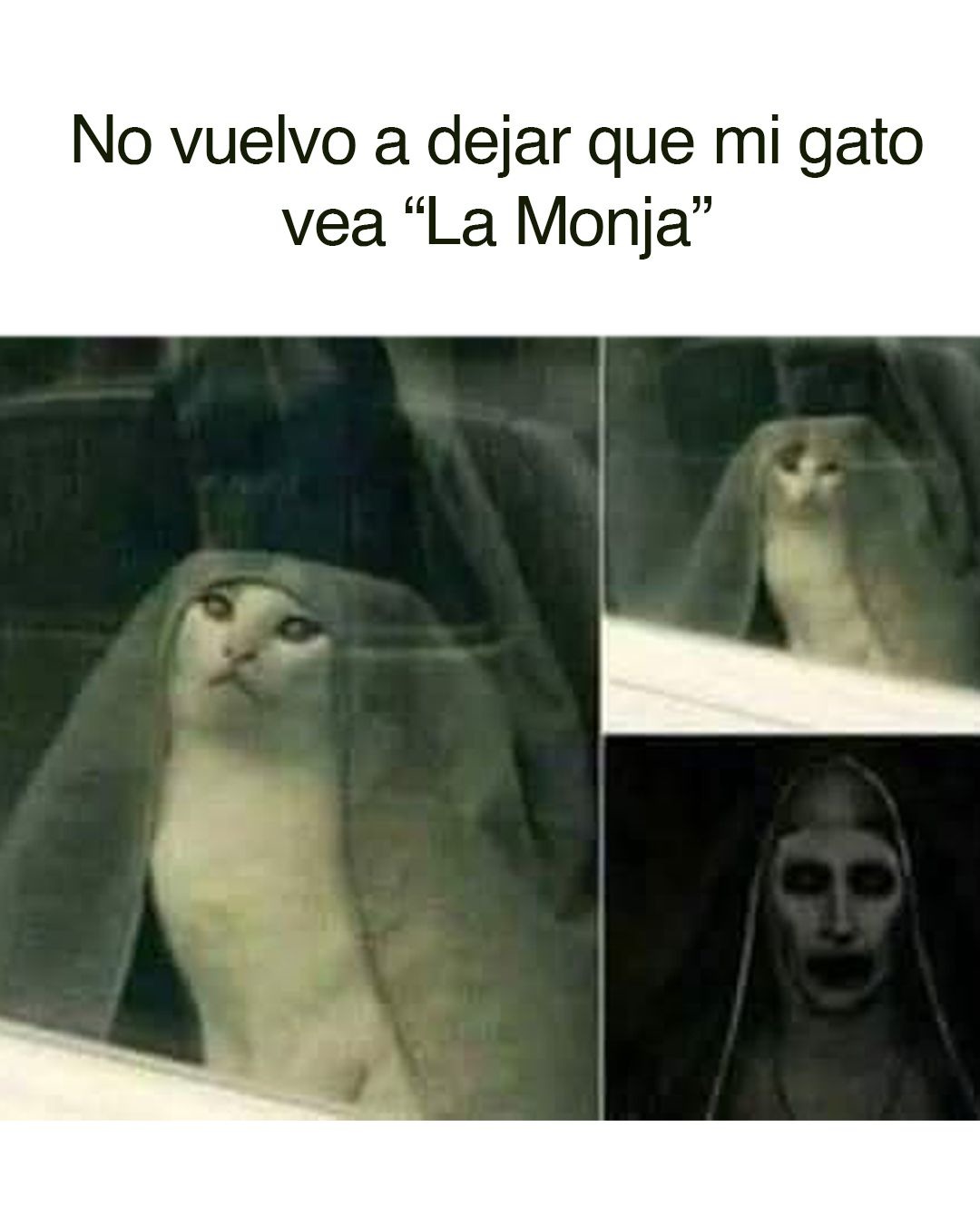 Nunca jamás - meme