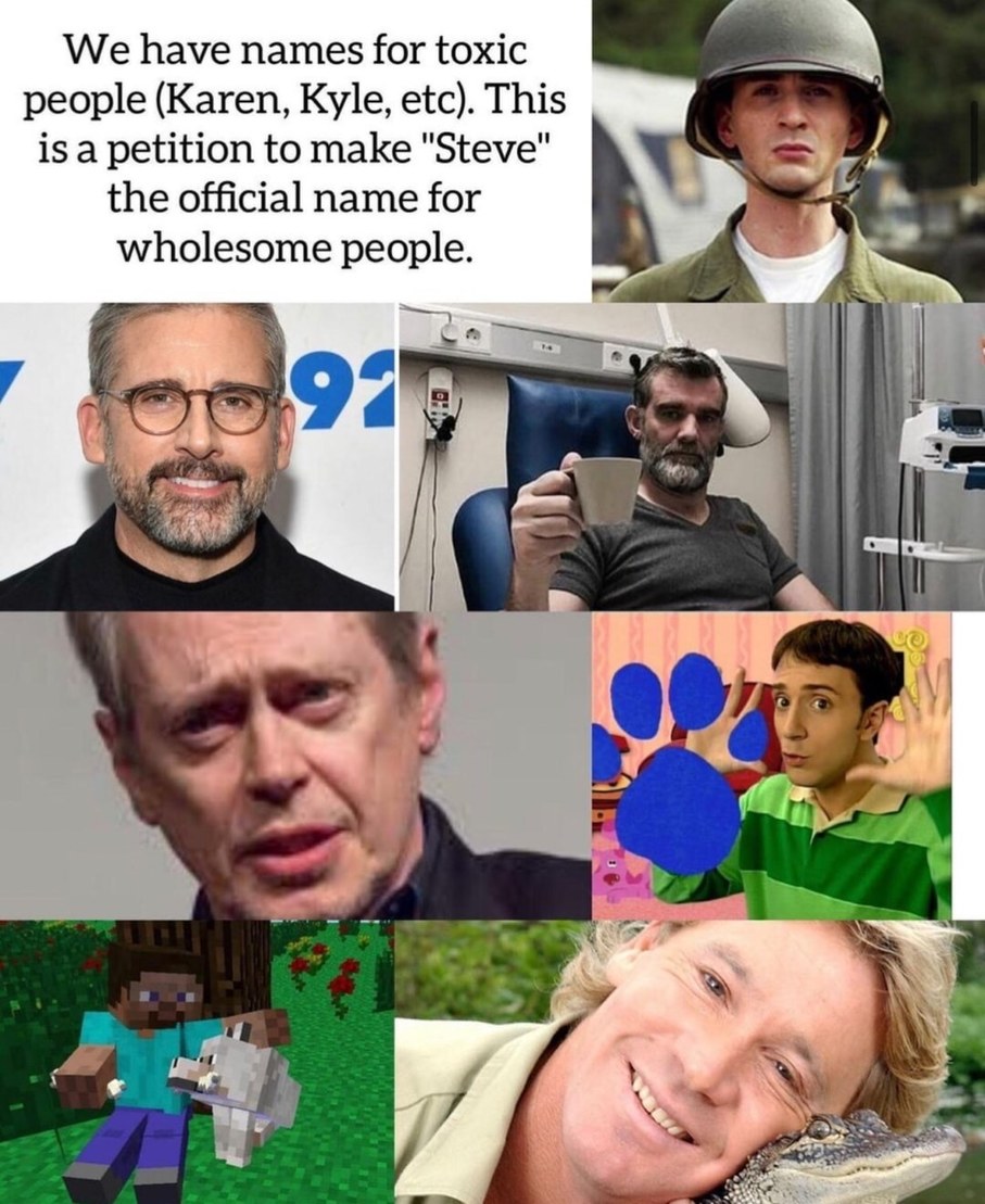 be a Steve - meme