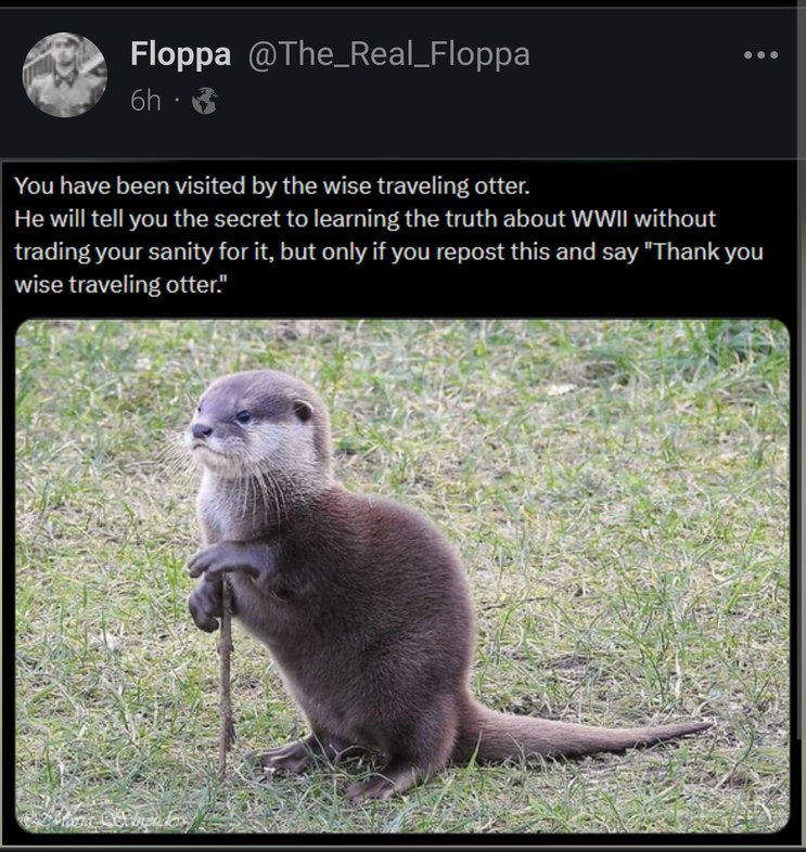 Thank You Wise Traveling Otter - meme