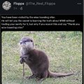 Thank You Wise Traveling Otter