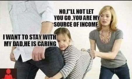 Child support as a source of income - meme