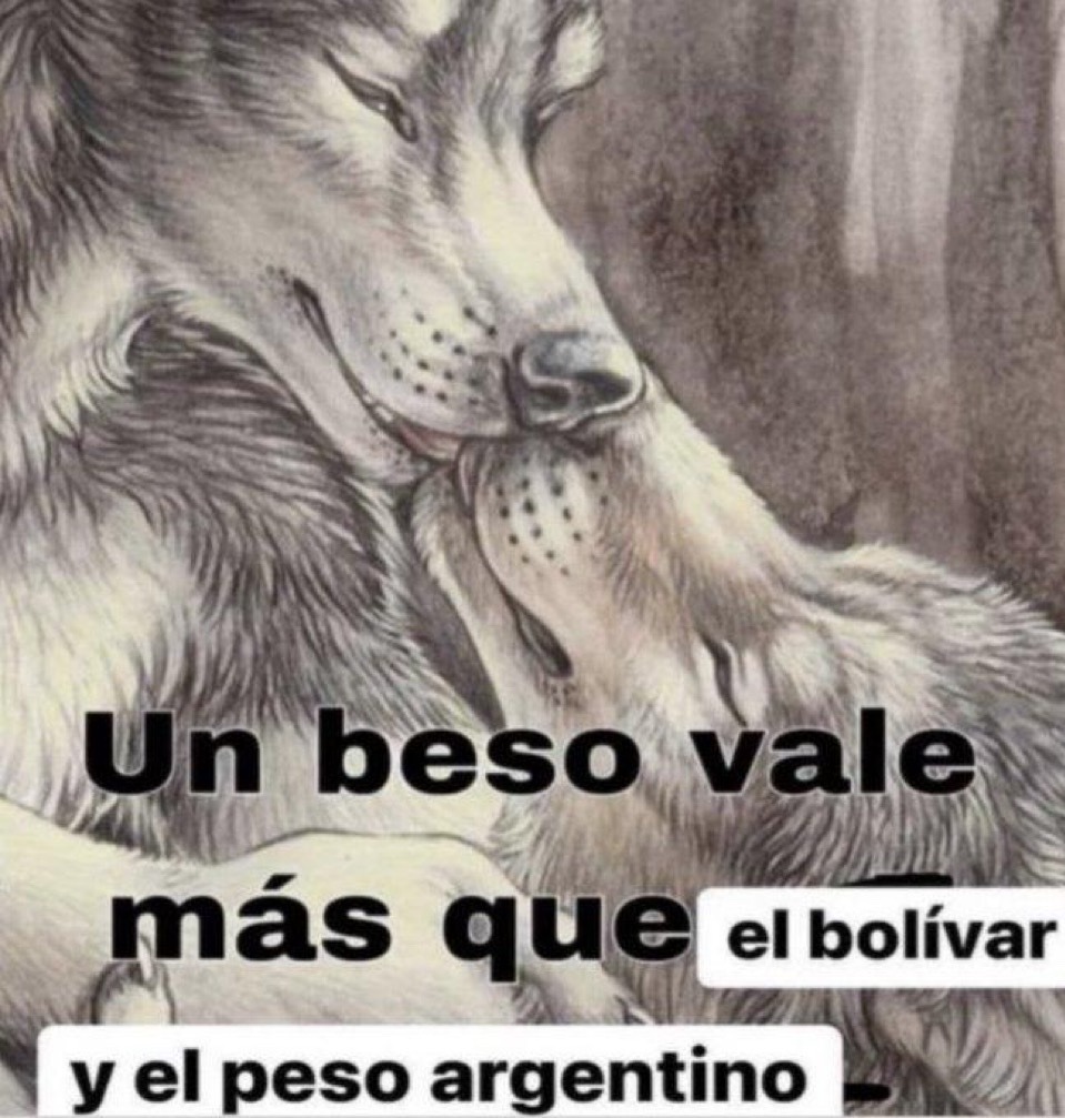 Xd? - meme