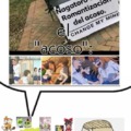 commented item thumbnail