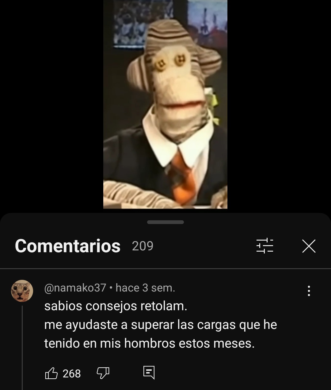 Fdp de gato=Autismo - meme